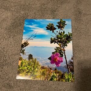 8” x 10” Print of Montserrat Flower